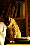 DSC_0275拷貝