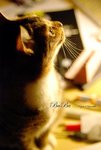 DSC_0283拷貝