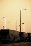 F1000024