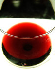 DSCF0279