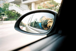 by car