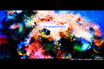 F1000022 copy