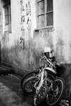 L1031663-Edit