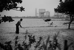 L1031955-Edit