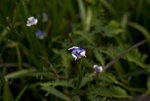 L1032275a
