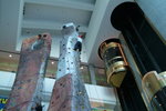 DSCF1066
