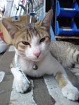DSC00111