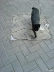 DSC00132�I�ɬY�ĩ�