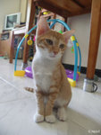 PICT3228