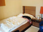 DSC08886
