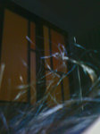 Photo0006x