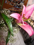 DSC04165
