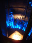 DSC02556