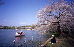 japan01
