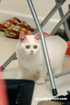 41218MrHoneyDSC_1515