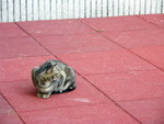 PICT0052