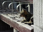 PICT0065