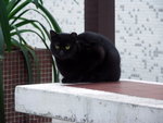 PICT0079R