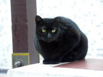 PICT0080r