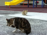 PICT0089