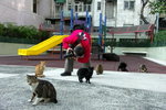 PICT0094R