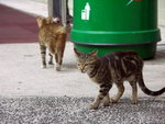 PICT0097