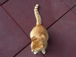 PICT0098