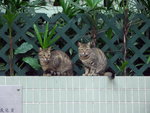 PICT0111