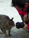 PICT0113C2