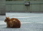 PICT0119c
