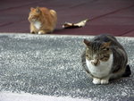 PICT0132