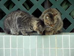 PICT0139