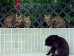 PICT0147