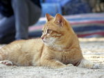 PICT0053