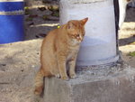 PICT0070