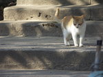PICT0074