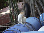 PICT0076
