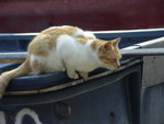 PICT0079