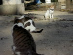 PICT0092