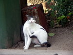 PICT0098