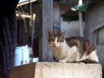 PICT0105