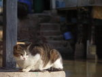 PICT0109