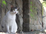 PICT0115