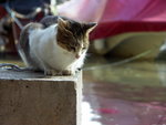 PICT0118