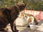 PICT0130