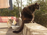 PICT0132