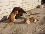 PICT0134