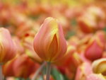 PICT0014