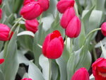 PICT0016