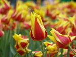PICT0019